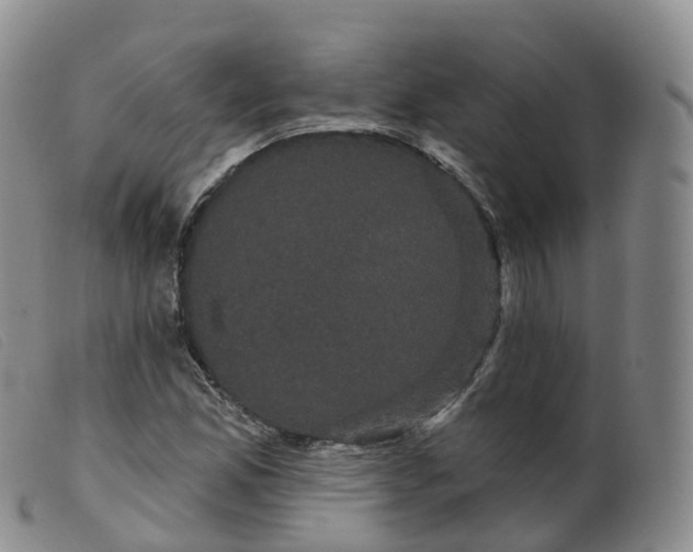 X0000099381165200805221759