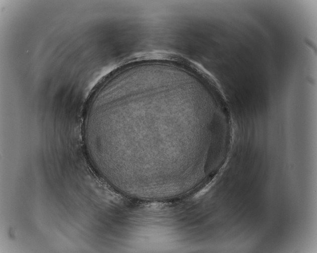 X0000099381166200805221758