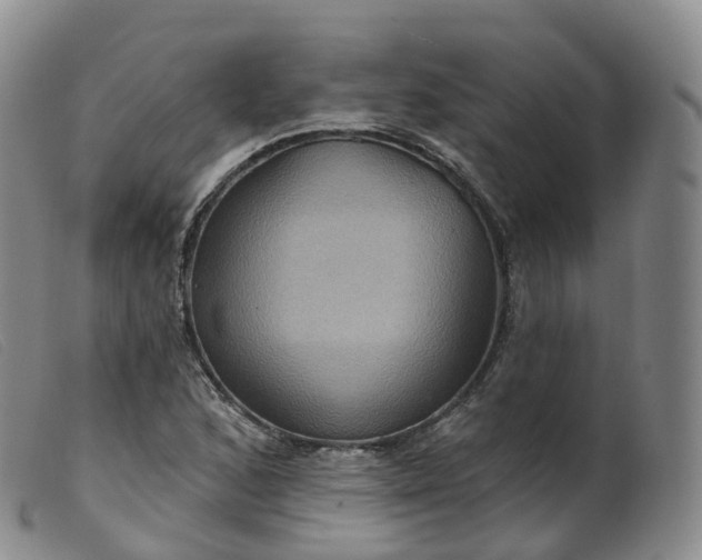 X0000099381168200805221758