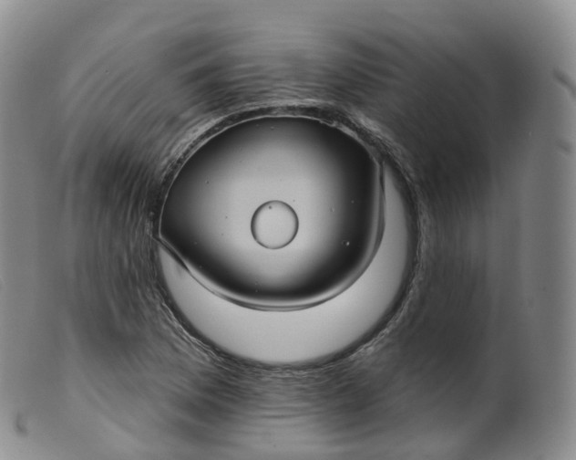 X0000099381169200805221758