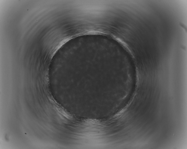 X0000099381170200805221758