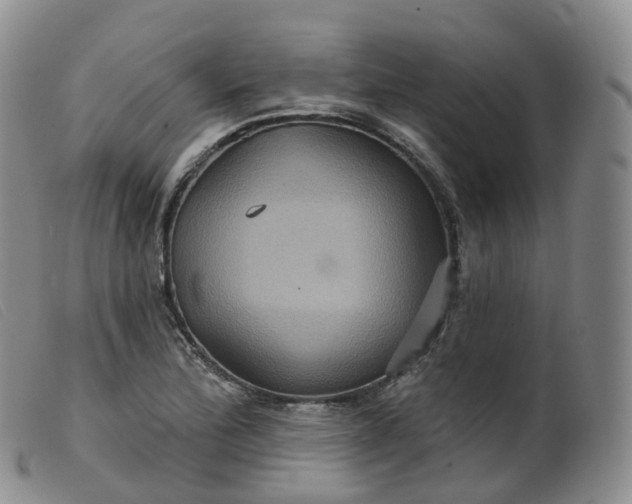 X0000099381172200805221758