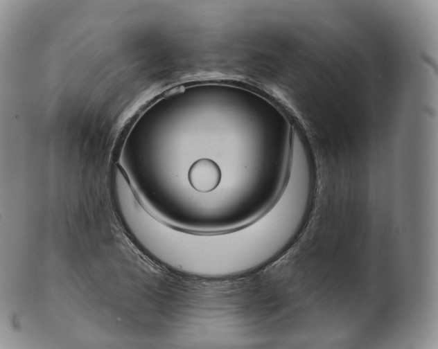 X0000099381173200805221758