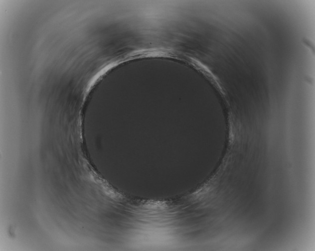 X0000099381174200805221758