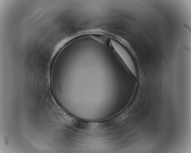 X0000099381176200805221758