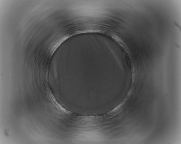 X0000099381177200805221758