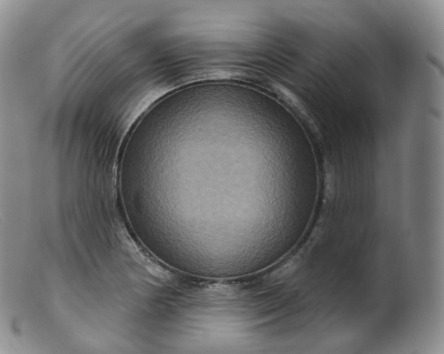 X0000099381178200805221758