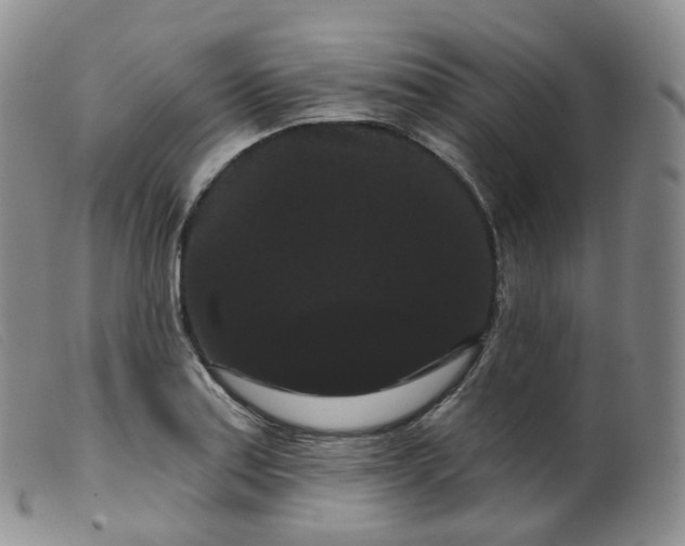 X0000099381179200805221758