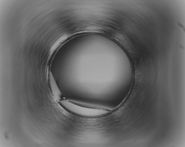 X0000099381180200805221758