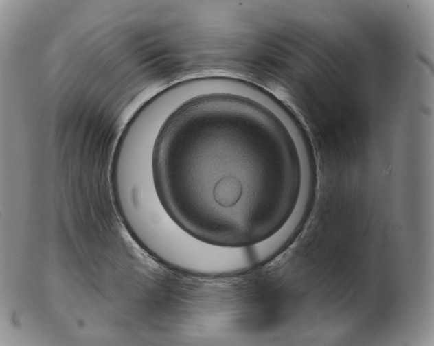 X0000099381181200805221758