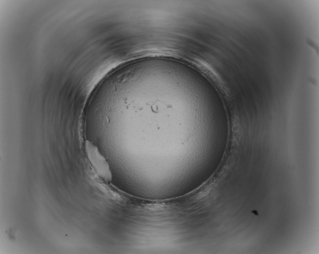 X0000099381182200805221758