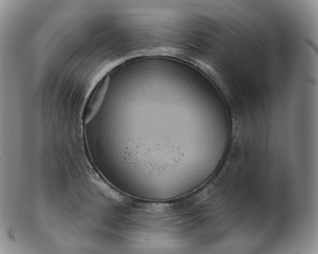 X0000099381184200805221758