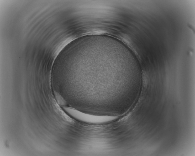 X0000099381186200805221758