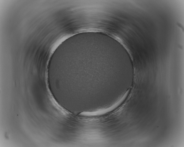 X0000099381187200805221758