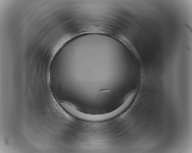 X0000099381188200805221758