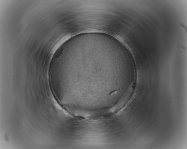 X0000099381189200805221758