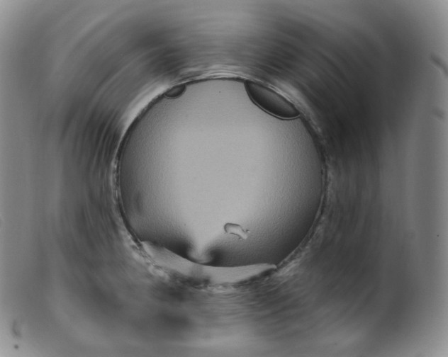 X0000099381190200805221758