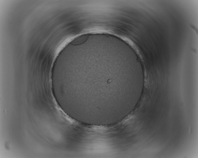 X0000099381191200805221758