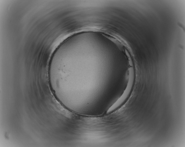 X0000099381192200805221758