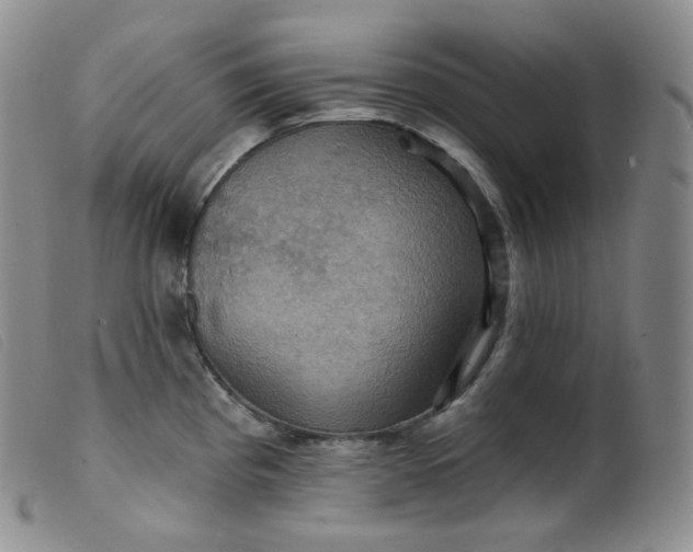 X0000099381193200805221758