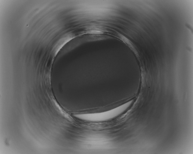 X0000099381194200805221758