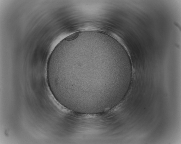 X0000099381195200805221758