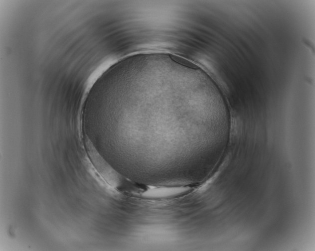 X0000099381196200805221758