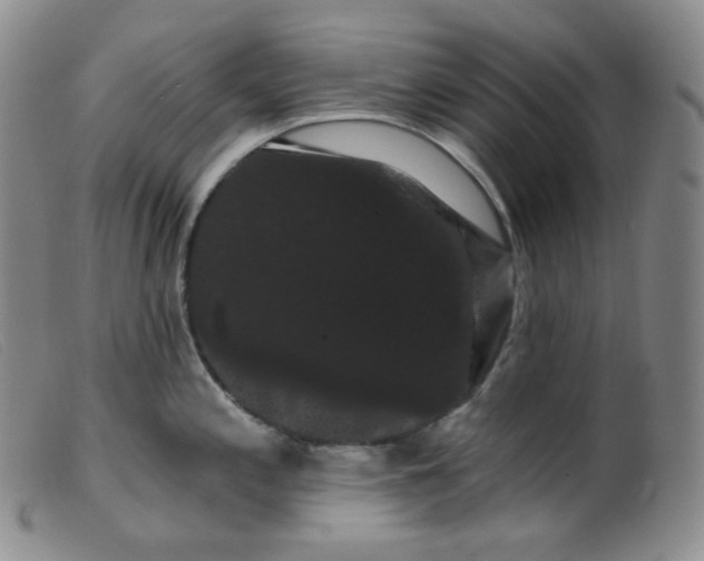 X0000099381197200805221758