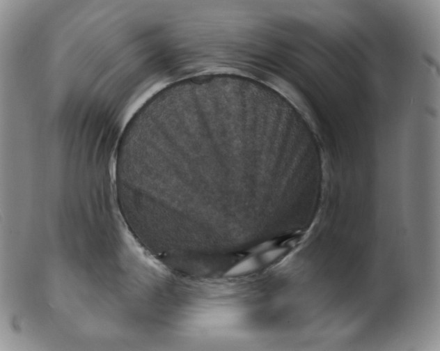 X0000099381198200805221758