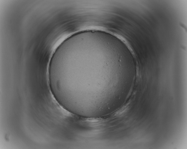 X0000099381199200805221758