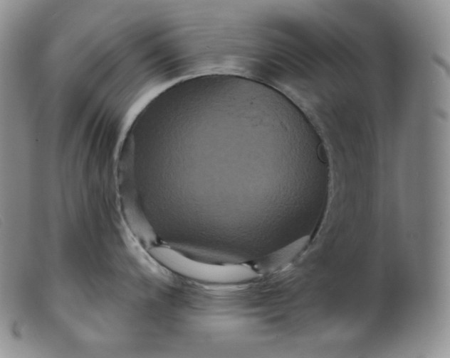 X0000099381200200805221758