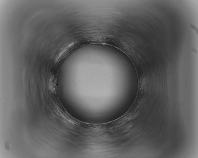 X0000099381202200805221757