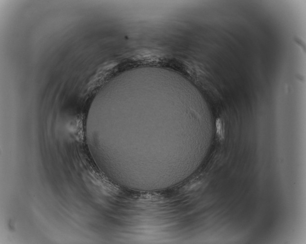 X0000099381203200805221757