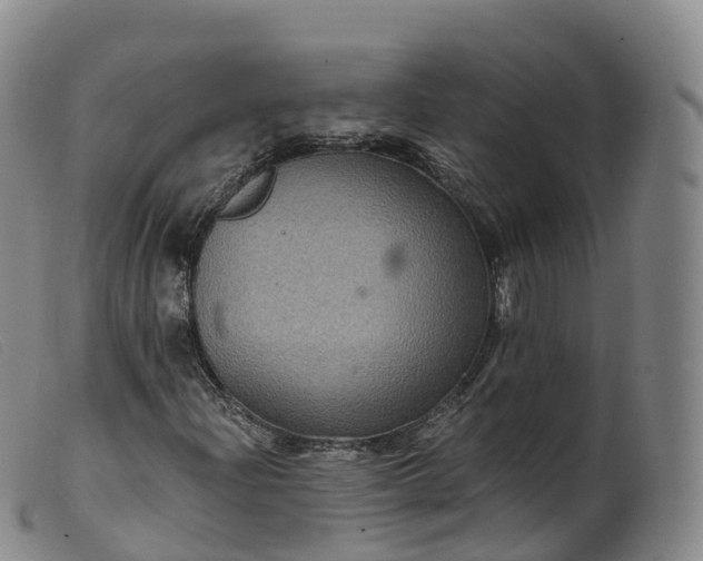 X0000099381204200805221757