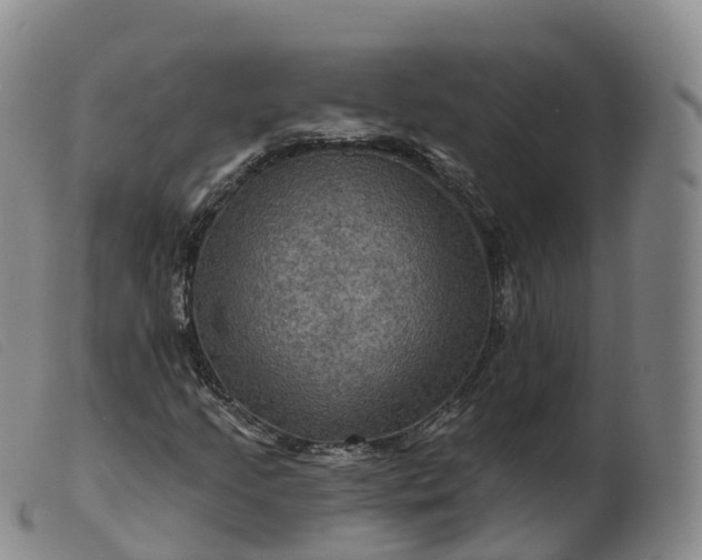 X0000099381205200805221757