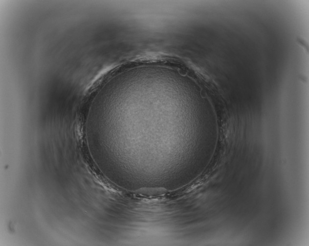 X0000099381206200805221757