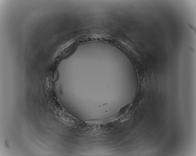 X0000099381207200805221757