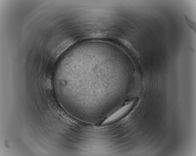 X0000099381209200805221757