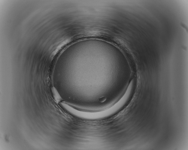 X0000099381210200805221757