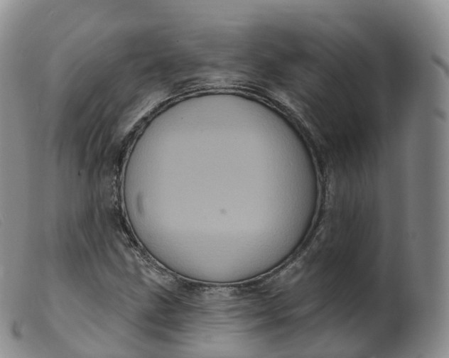 X0000099381211200805221757