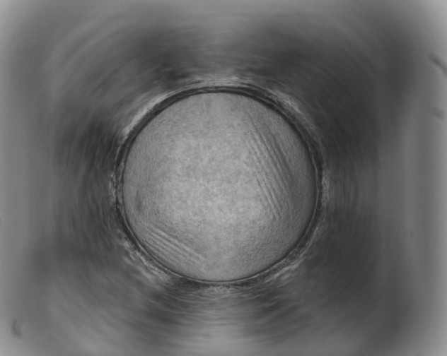 X0000099381212200805221757