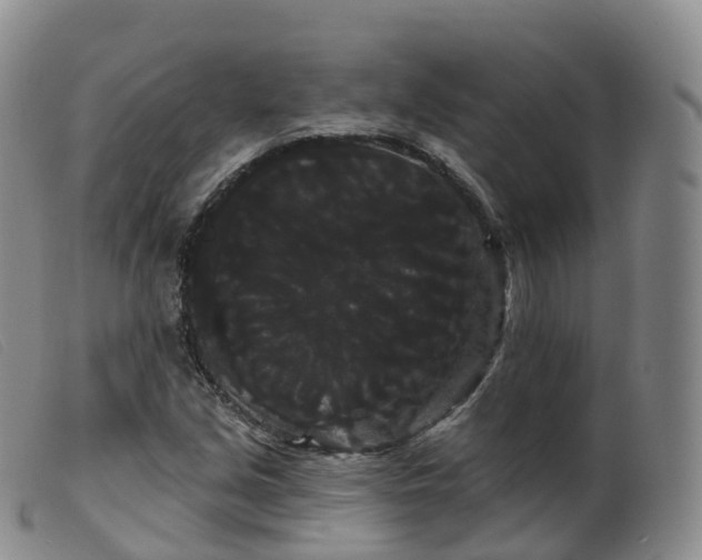 X0000099381213200805221758