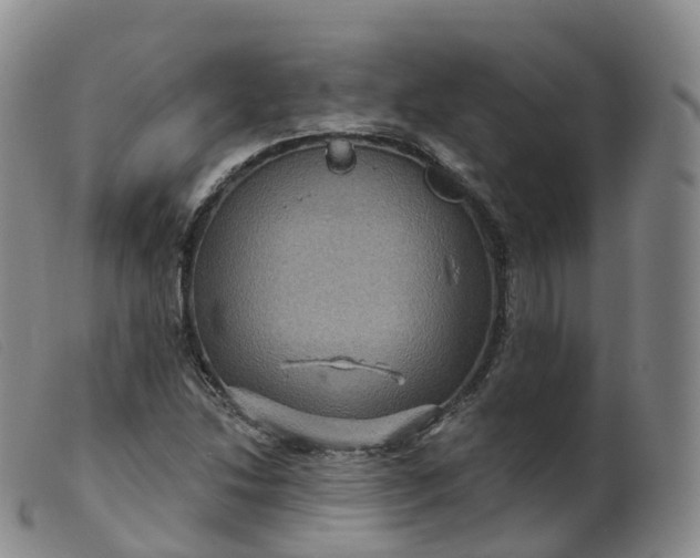 X0000099381214200805221758