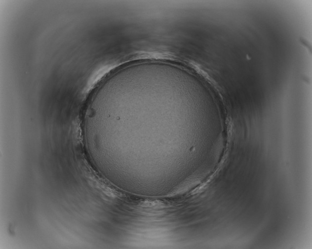 X0000099381215200805221758