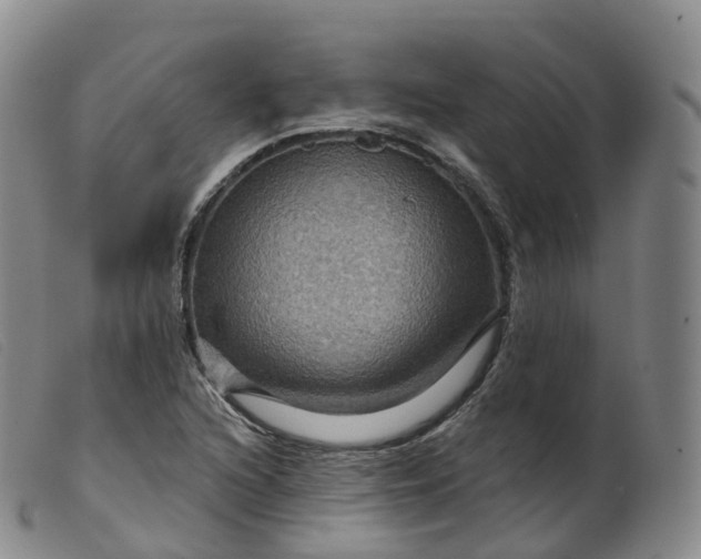 X0000099381216200805221758