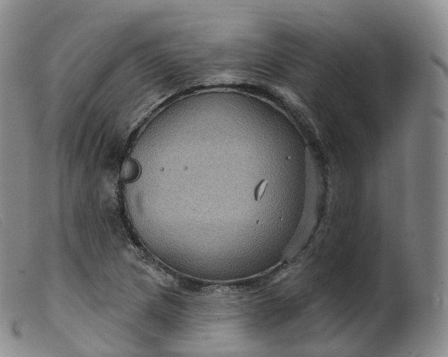 X0000099381217200805221758