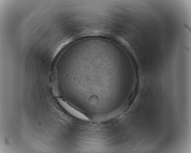 X0000099381218200805221758