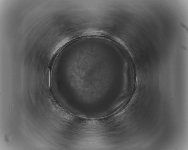 X0000099381219200805221758