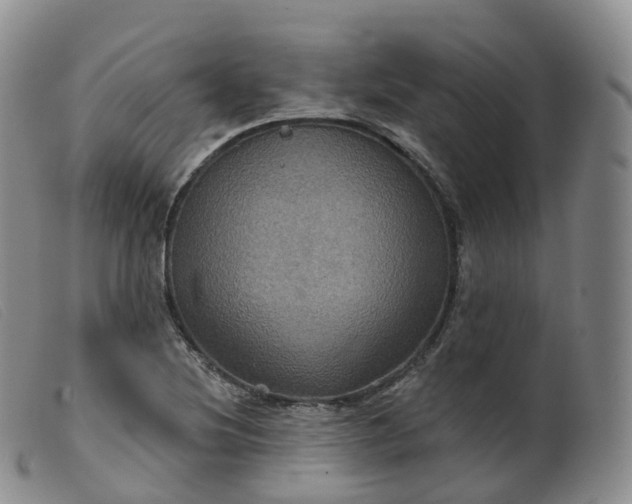 X0000099381220200805221758