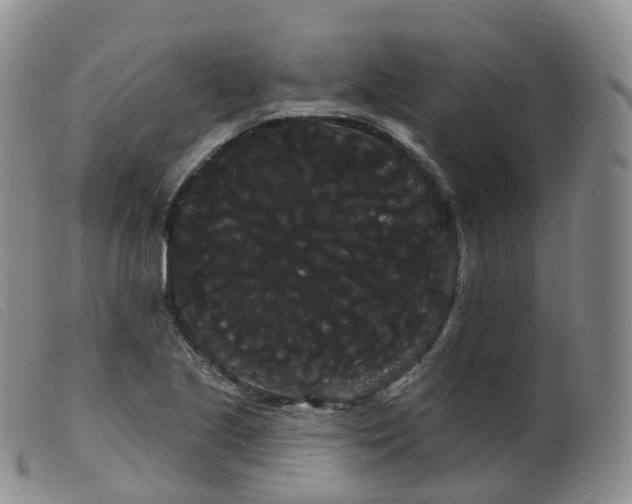 X0000099381221200805221758